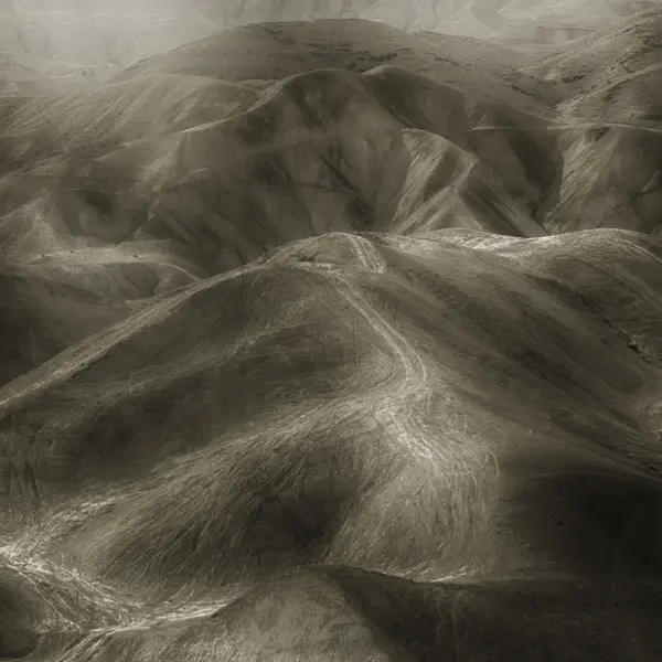 Land by Fadwa Rouhana in Photography