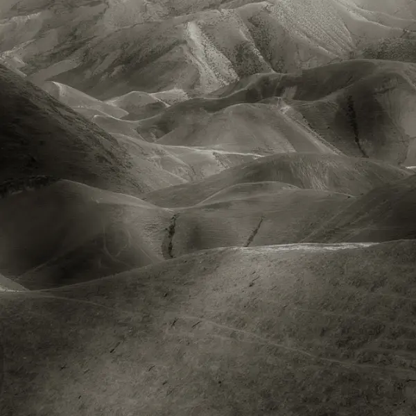 Land by Fadwa Rouhana in Photography