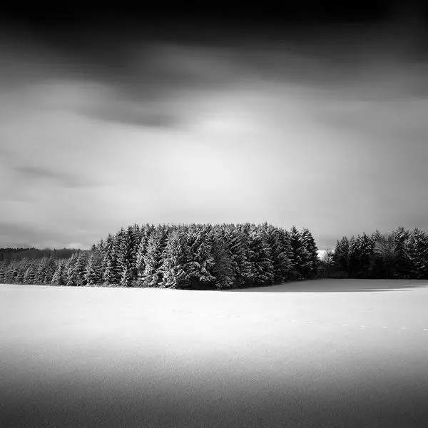 Foxtrails, #2, Heiligenberg by Thomas Bichler in Photography Digital