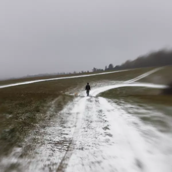 On a walk with a dog by Miroslav Polča in Photography Digital