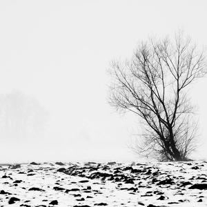 Portfolio 14 artworks