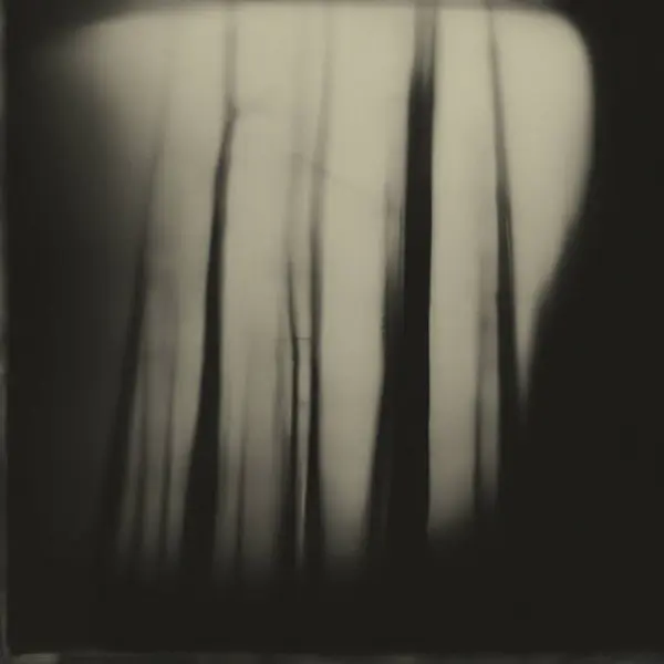 Heart of the Forest I by Ojonegro