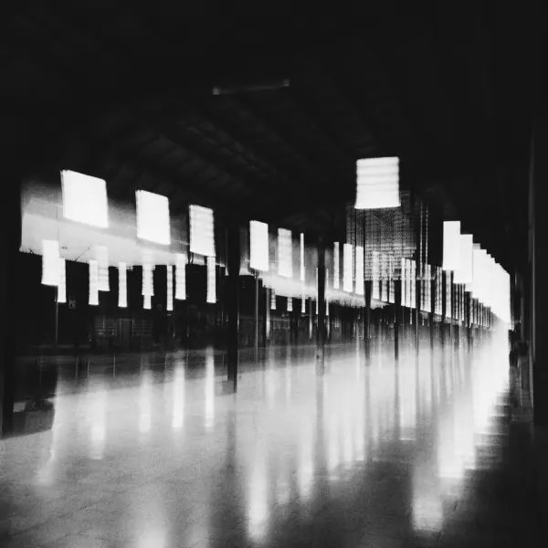 Echo by Marko Polonio in Photography