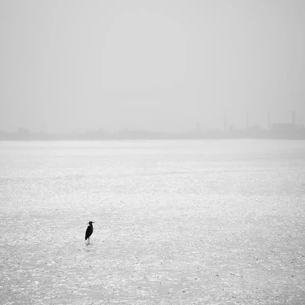Life by Jong Beom Kim