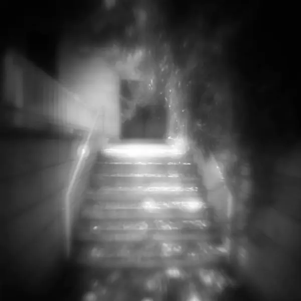 Shimmering Light by Daphne Schnitzer