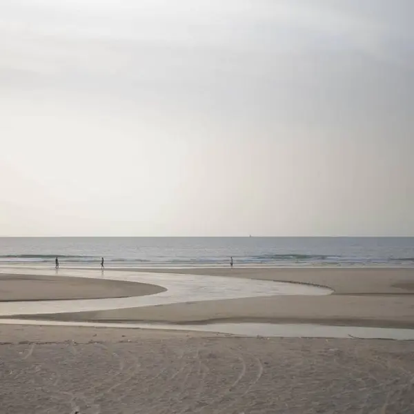 Fragile shores by Daphne Schnitzer