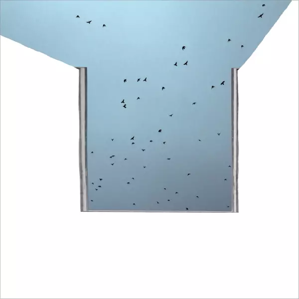 Flight of birds by Gilbert Claes in Photography Digital
