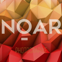 Noar Photographie