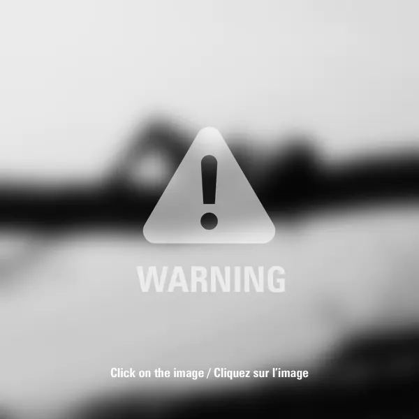 State of Balance by Kamil Mysiak in Photography Digital