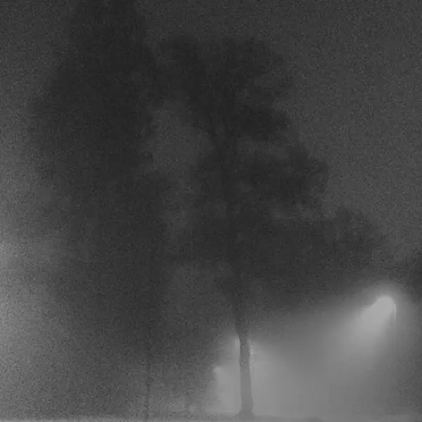 ...In the Mist by M P in Photography Digital
