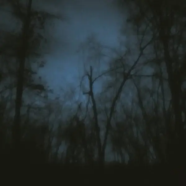 Mono No Aware by M P in Photography Digital