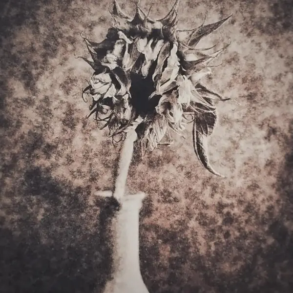 Best days past by Clive Vincent in Photography Medium-format film