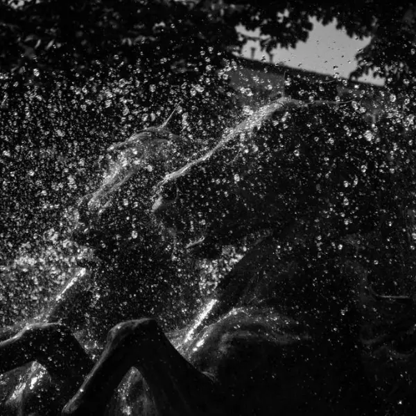 Constellation du Cheval by Thierry Poupon in Photography Digital