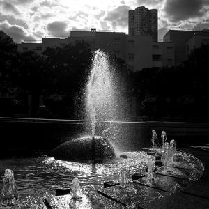 Monochrome 495 artworks