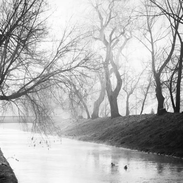 Untitled by Antoni P in Photography Digital