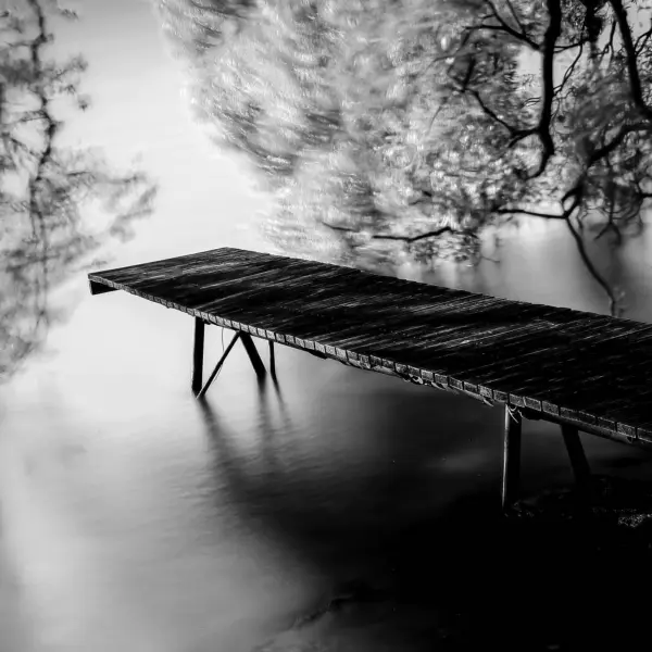 Disconnected by Anthony Park