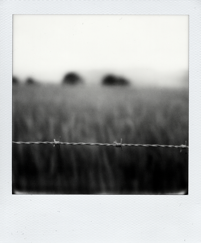 Rough and Soft by Cyril Auvity, Photography, Instant film | Art Limited