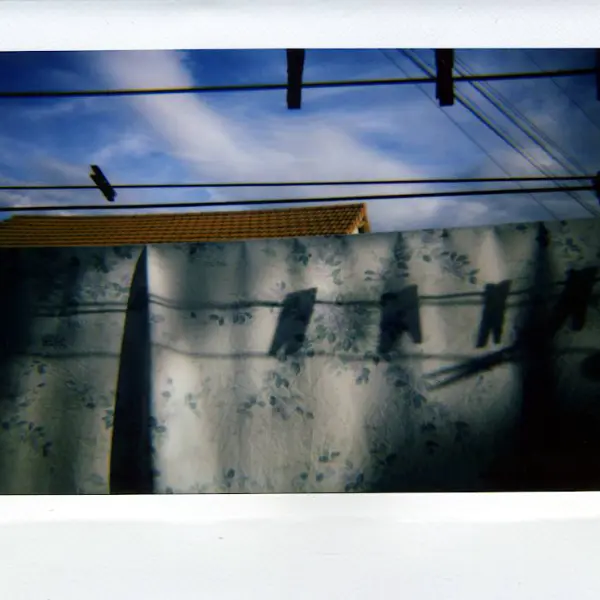 Birds on a wire by Cyril Auvity in Photography Instant film