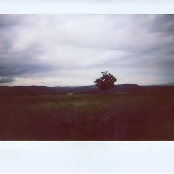So lonely by Cyril Auvity in Photography Instant film
