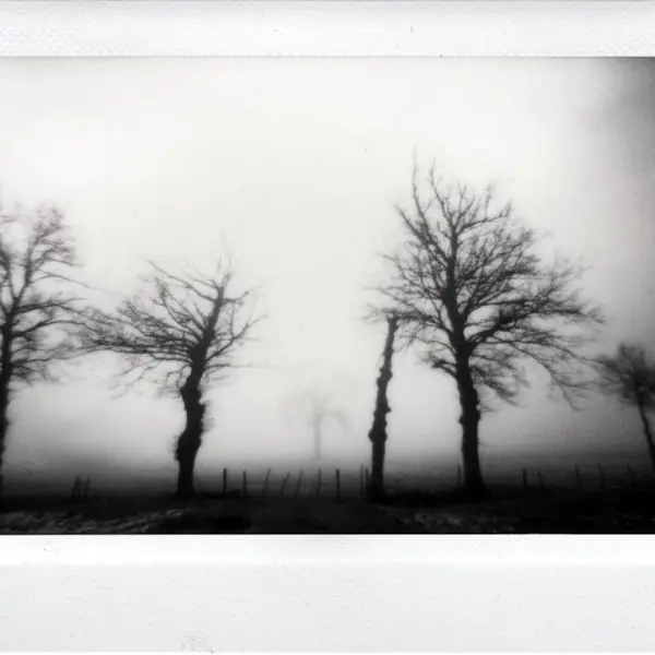 The mistic dance by Cyril Auvity in Photography Instant film