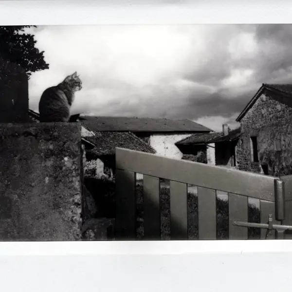 Before the storm by Cyril Auvity in Photography Instant film