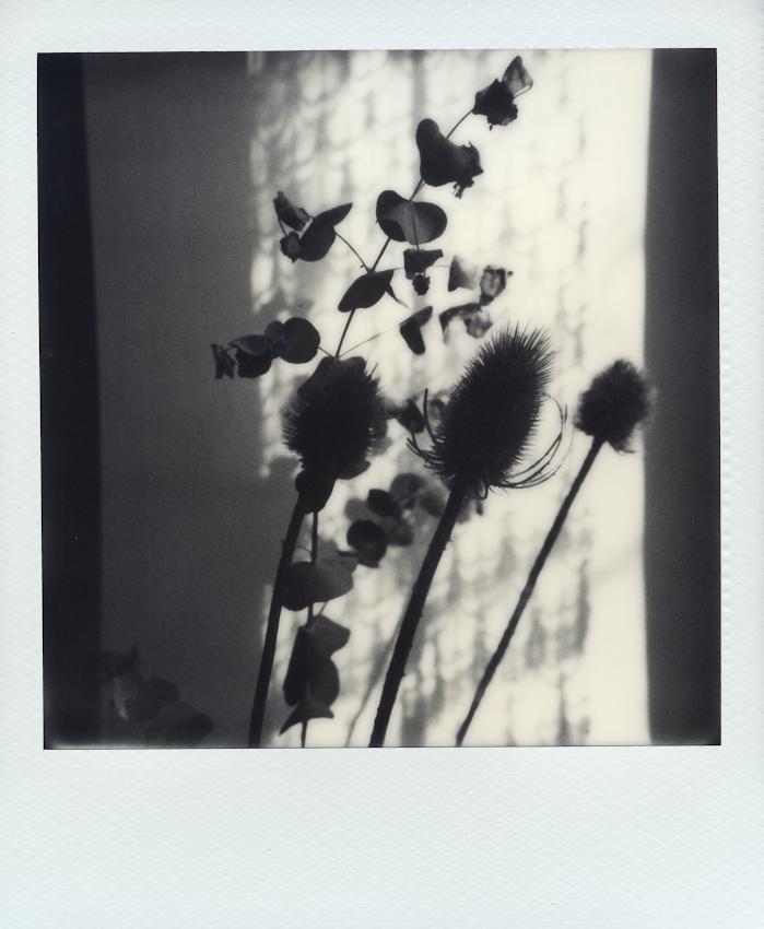 Inside shadows by Cyril Auvity, Photography, Instant film | Art Limited