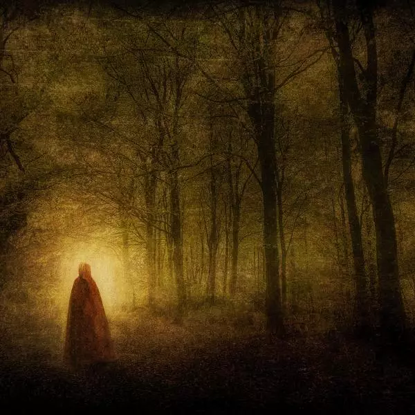 The Lady in the Hood by Martin Fry in Digital art Manipulation