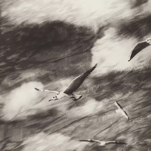Don't forget about your wings and you will overcome a lot... par Irina Warm Vision dans Art numérique
