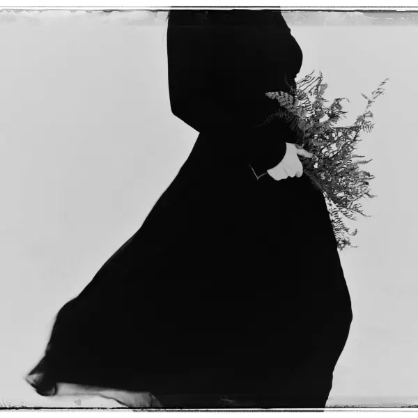 Winter poems by Biljana Radojicic in Photography Digital