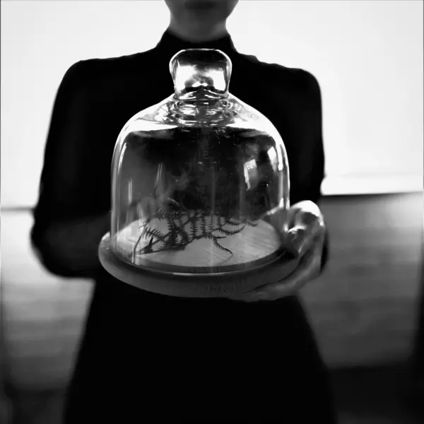 Untitled by Biljana Radojicic in Photography Digital