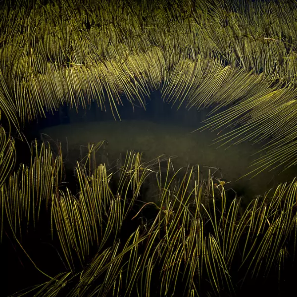 Lac Vert by Jean-Luc Billet in Photography Digital