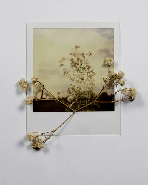 Cohabitation... est une création de l'artiste Cédric Zuwala. Catégorie Photographie, Film instantané. Polaroid / Technique mixte. 2 distinctions, 154 vues, 27 appréciations, 1 commentaire, 1 favori.
