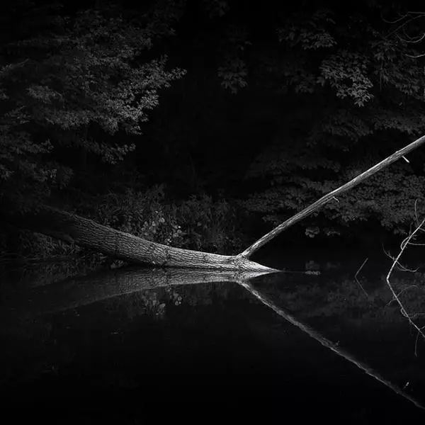 End of days by Richard K in Photography Digital