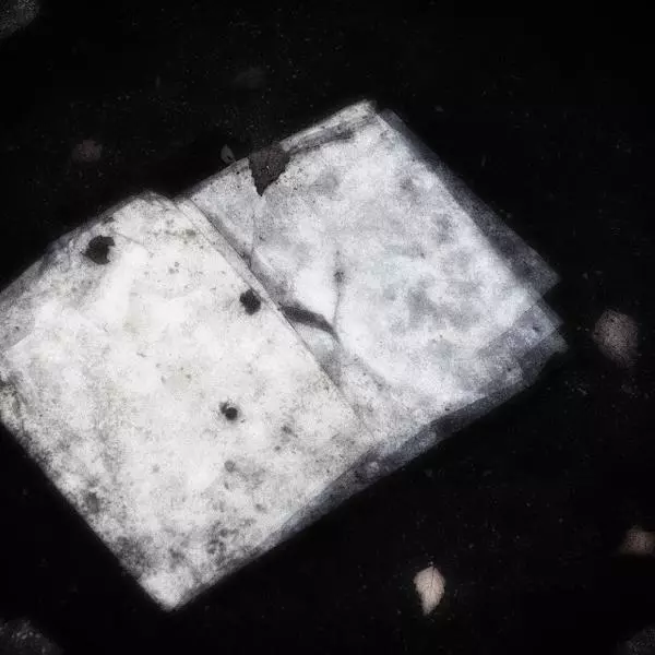 Book of forgotten memories by Richard K