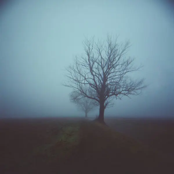 When we were alive by Lorita in Photography Medium-format film