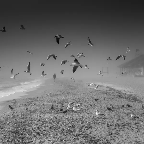 The misty seashore. by Valeriy Bekeshko