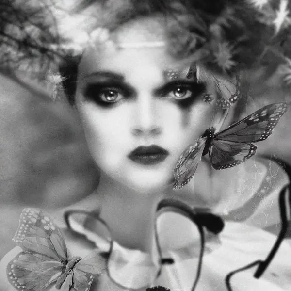 Butterfly by Catherine Reliant in Digital art Montage, retouching