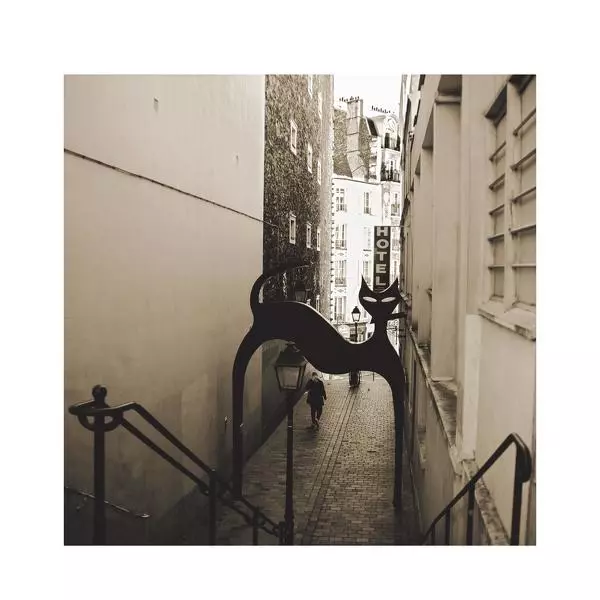 Le chat de vincennes par Laurent Martial