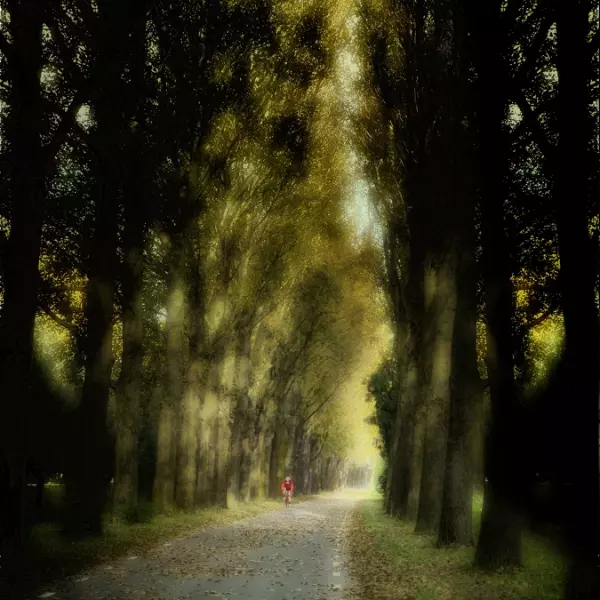 Towards Ter Haar by John Davidson