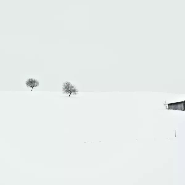 Quietness by Renate Wasinger in Photography