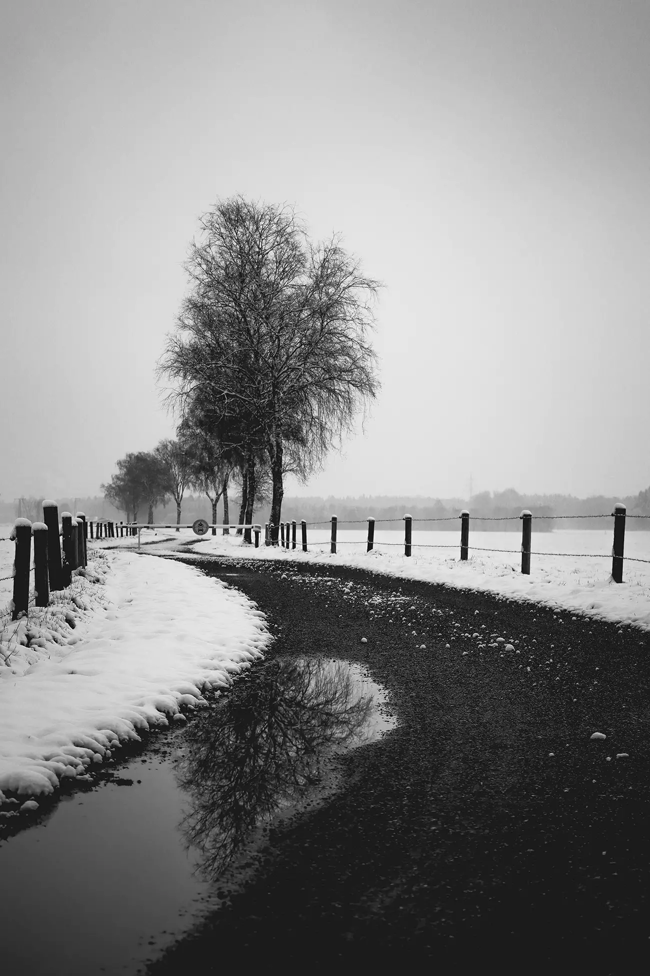 Winter in spring is a creation by the artist Renate Wasinger. Category Nature, Landscape, Fine-Art, Naturalism, Photography. 2 distinctions, 539 views, 46 appreciations, 2 comments, 2 favourites, 1 group project.