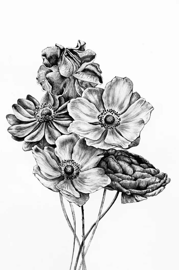 Bouquet By Nika Akin Drawing Mixed
