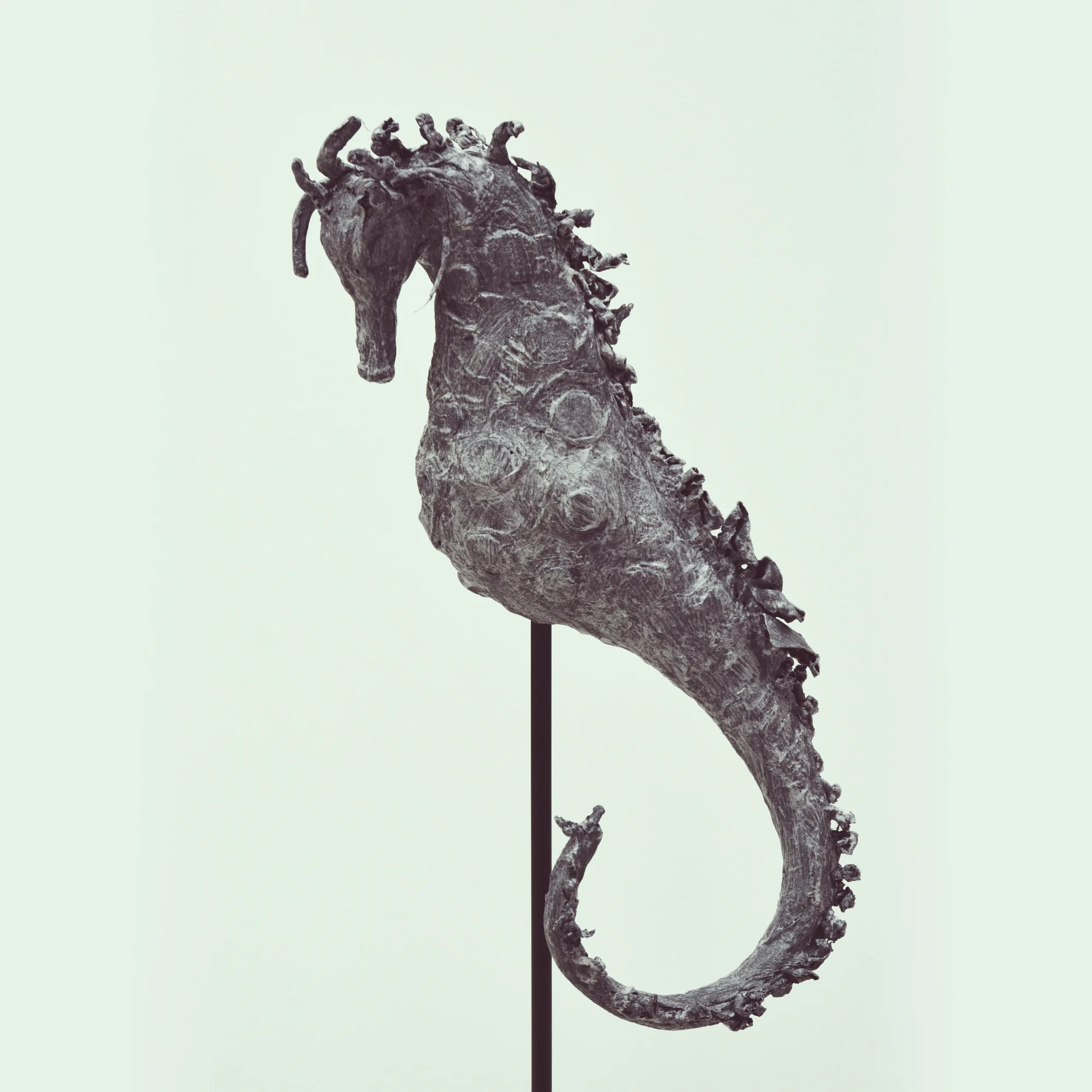 Neptune's Messenger I is a creation by the artist Teodora Sarbinska. Category Nature, Animal, Aquatic life, Sculpture. This sculpture is part of the exhibition Kyustendil Spring 2025 at the Art Gallery Vladimir Dimitrov - Maystora, Kyustendil, Bulgaria. Pliers,…