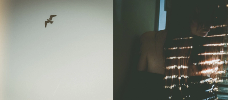 Au dehors est une création de l'artiste Sèverine Godissart. Catégorie oeuvre d'art. De la série Horizon. Nikon D5300. Photographies numériques/Autoportrait/Diptyque. 3 distinctions, 1K vues, 17 appréciations, 1 favori.