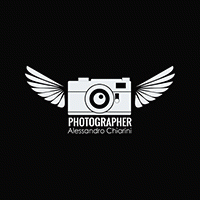 Alessandro Chiarini, Professional photographer