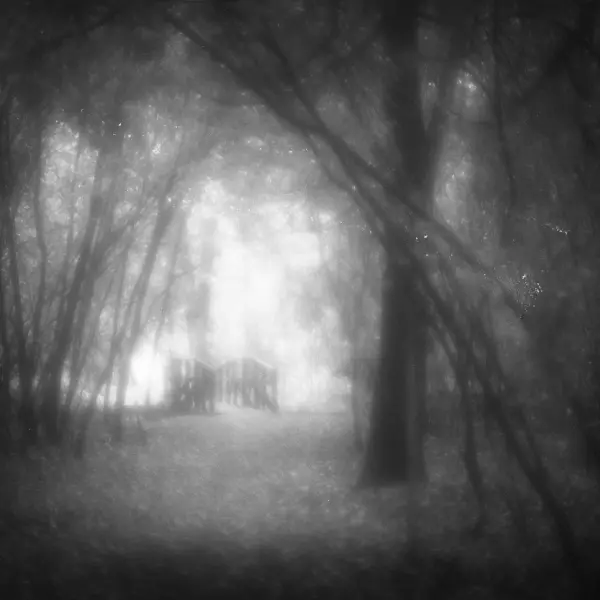 Homecoming to luminous suspense by Pablo Fanques Fair in Photography film 24x36, 35mm