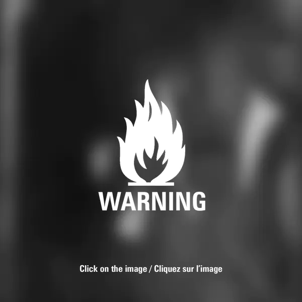 The Metaphorical Wet Plate MWP I.026 by Pablo Fanques Fair in Photography Large-format film