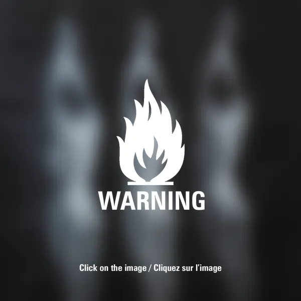 Willing to spring into action (MSId fol.016-1-W) by Pablo Fanques Fair in Photography