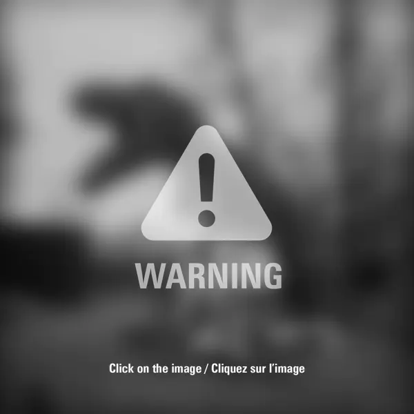 Sleepwalks with Amnema 018 by Pablo Fanques Fair in Photography Medium-format film