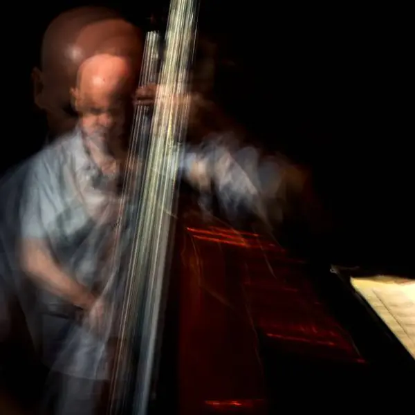 Double bass on the move by Nikola Jelenković